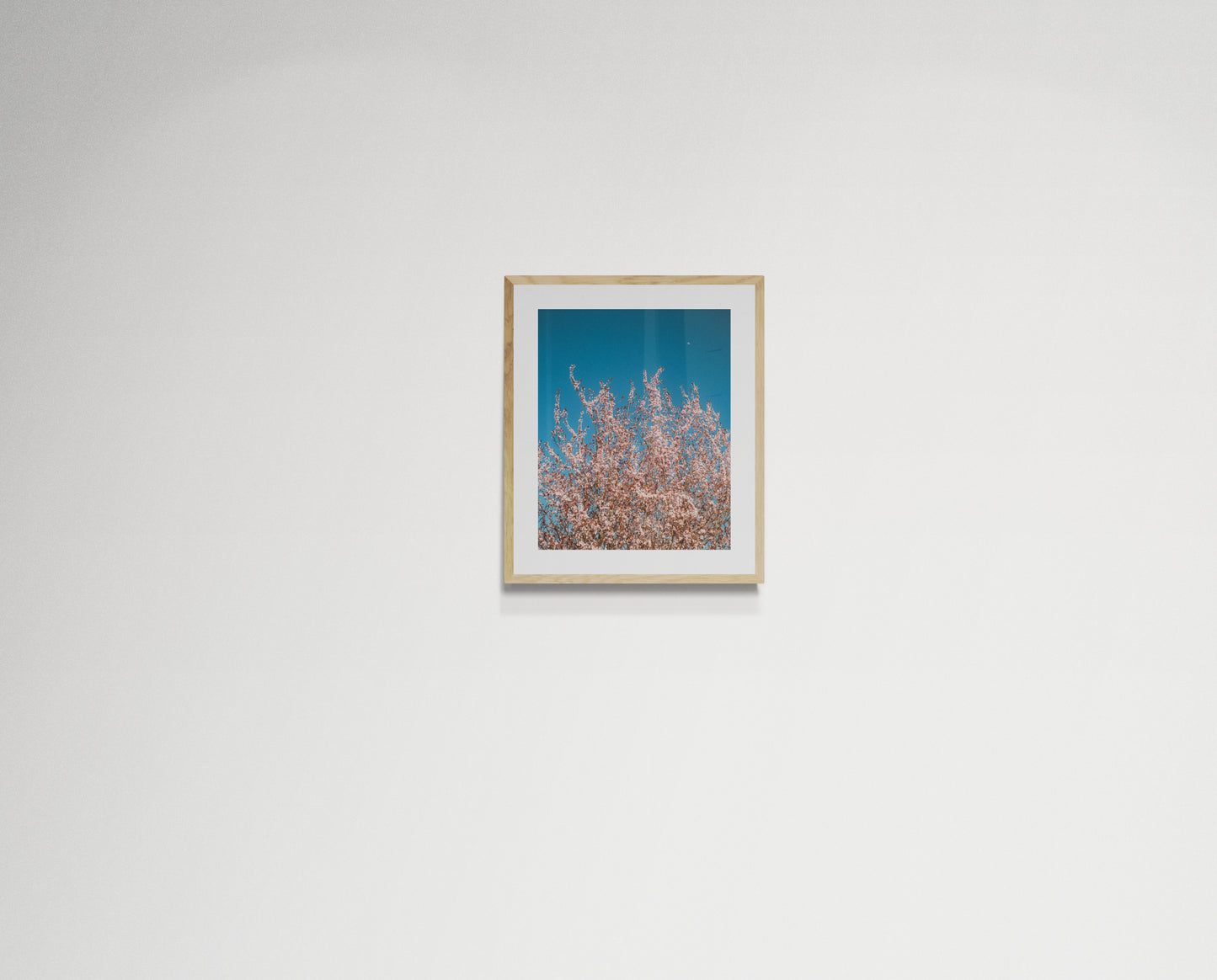 Pink flowers reaching for the moon