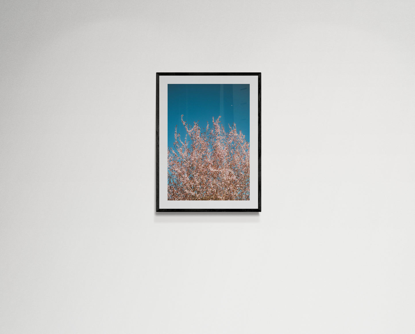 Pink flowers reaching for the moon