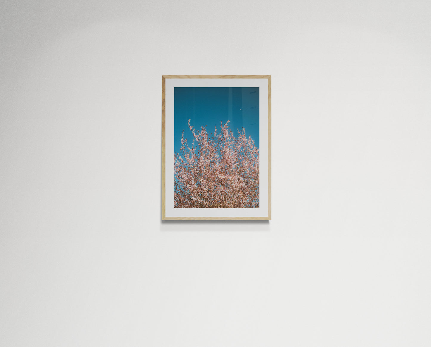 Pink flowers reaching for the moon