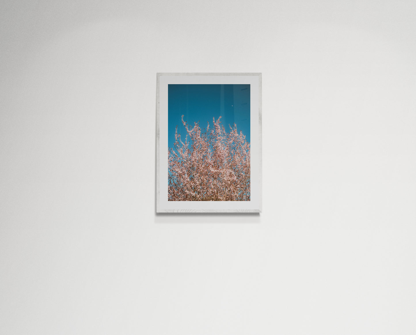 Pink flowers reaching for the moon