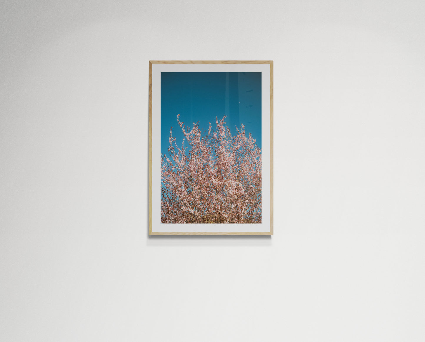 Pink flowers reaching for the moon