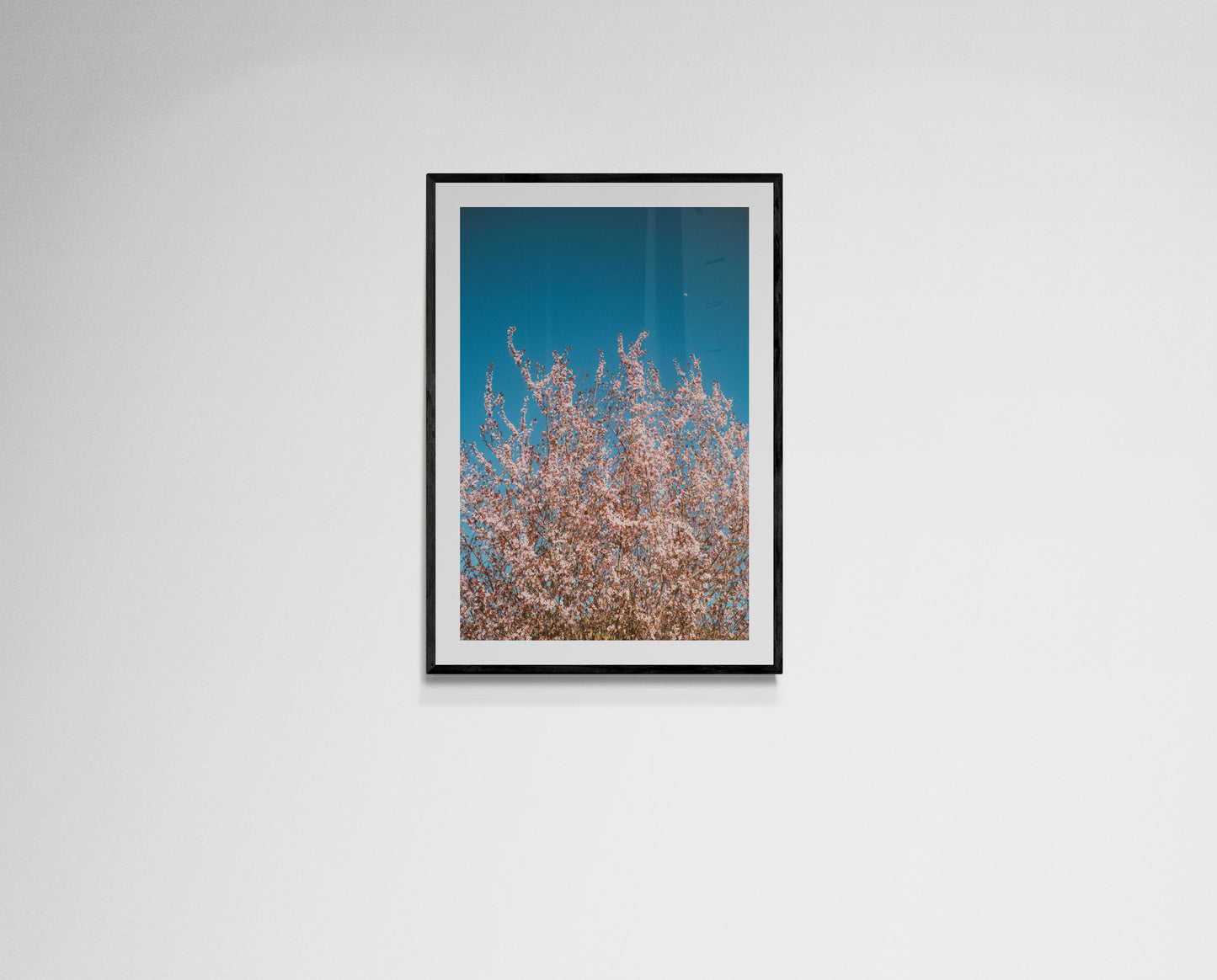 Pink flowers reaching for the moon