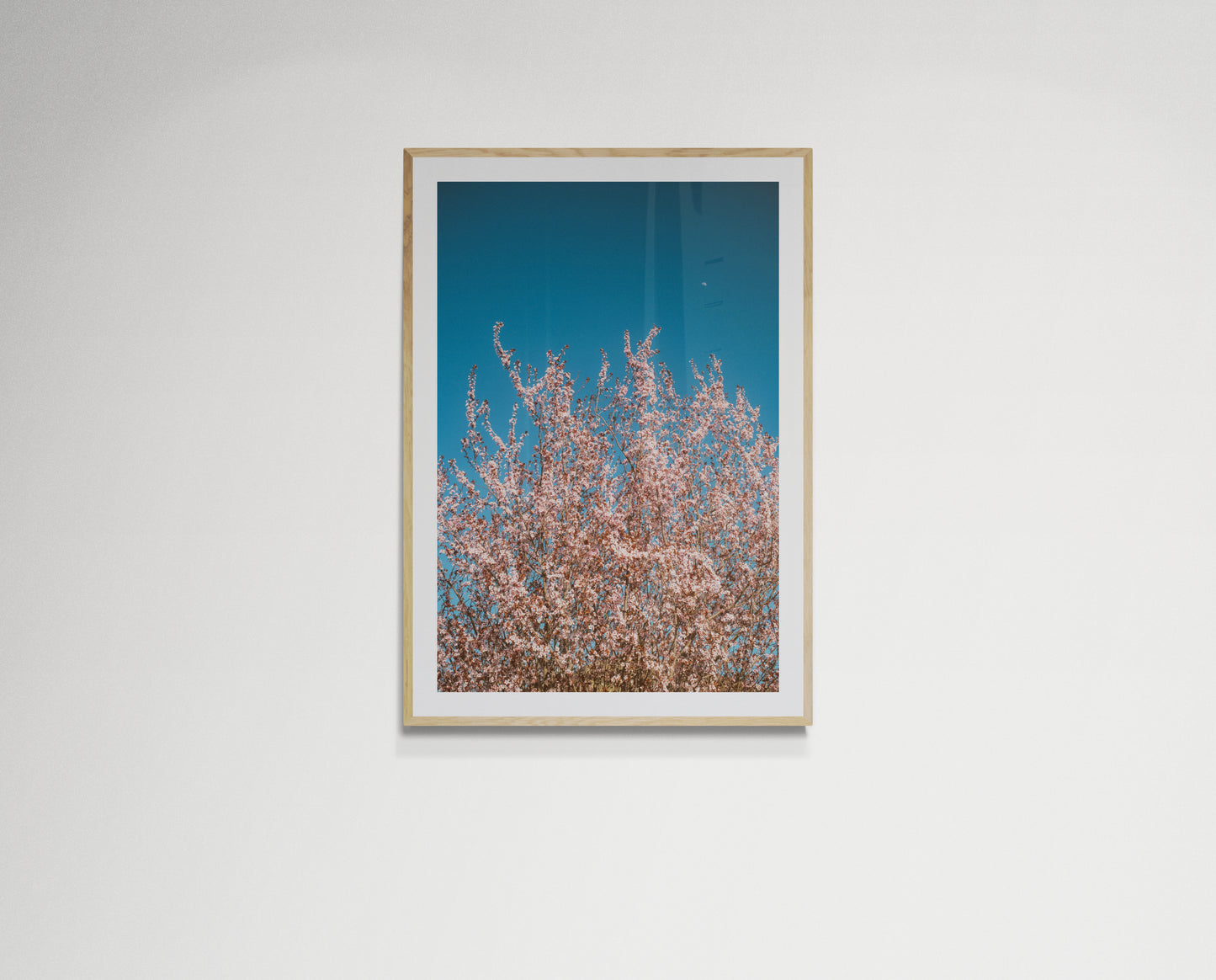 Pink flowers reaching for the moon