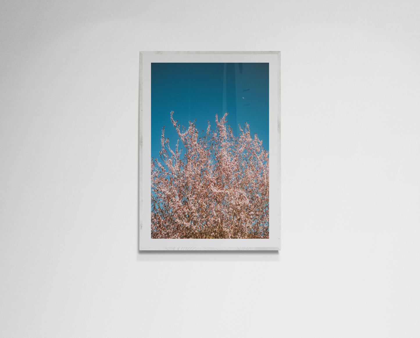 Pink flowers reaching for the moon