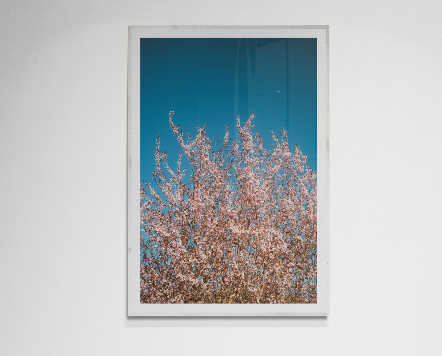 Pink flowers reaching for the moon
