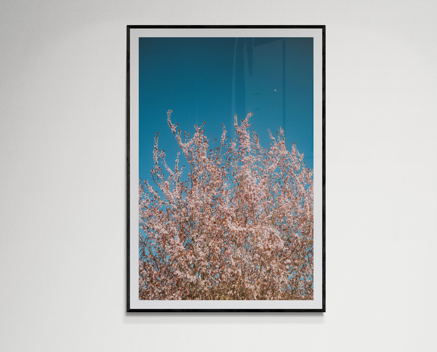 Pink flowers reaching for the moon